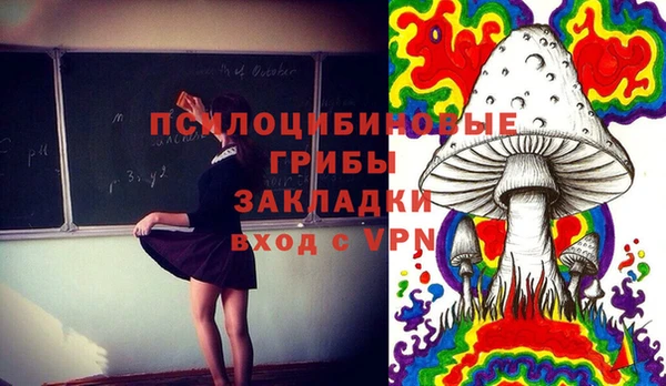 герыч Арсеньев