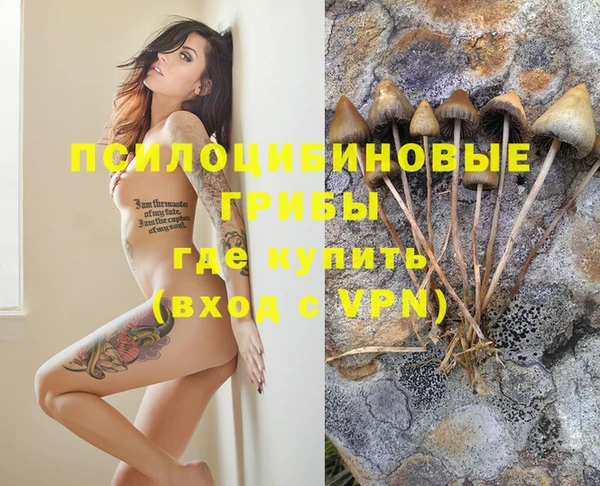 крисы Осташков