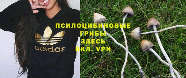 хмурый Балабаново
