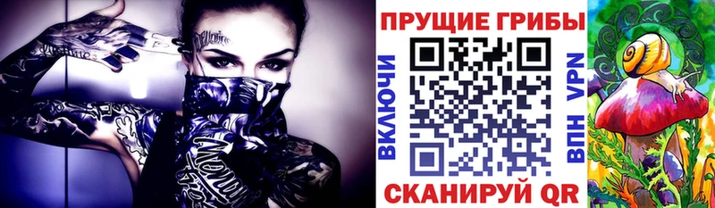 omg ONION  Спасск-Рязанский  Галлюциногенные грибы прущие грибы 
